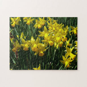 Quebra-cabeça Daffodils Amarelos I Flores De Mola Cheery