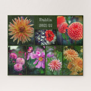 Quebra-cabeça Dahlia Flói Sete Foto Colagem 520pc Jigsee Pu