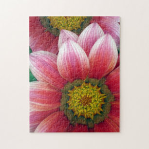 Quebra-cabeça Daisies africanos