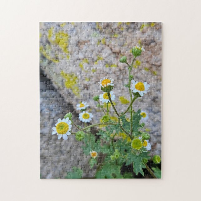Quebra-cabeça Daisy Dots of Delight, 28cm x 35,5cm (Vertical)