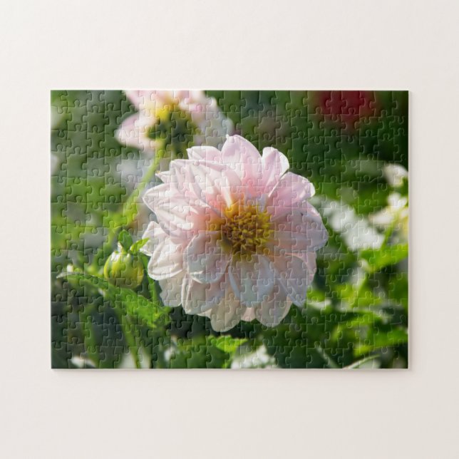 Quebra-cabeça Dália branca na foto do jardim (Horizontal)