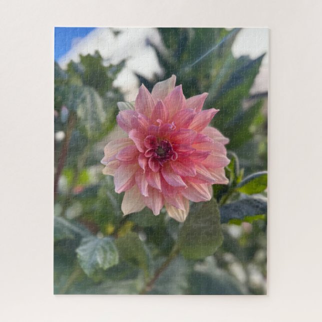 Quebra-cabeça Dália Rosa, Palo Alto (Vertical)