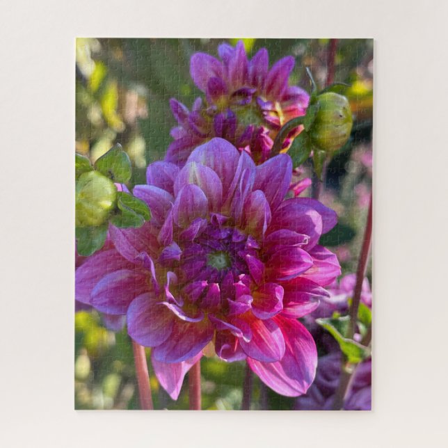 Quebra-cabeça Dália Roxa, Oakland (Vertical)