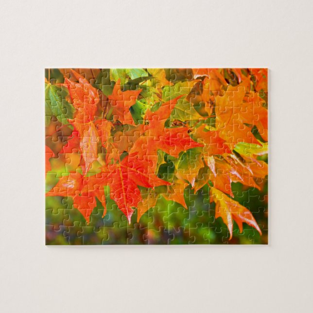 Quebra-cabeça Dança Folha de Maple (Horizontal)
