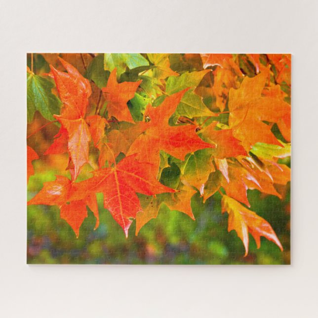Quebra-cabeça Dança Folha de Maple (Horizontal)