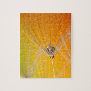 Quebra-cabeça Dandelion Blossoms Flores Destino Paz Amor Arte