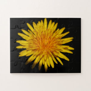 Quebra-cabeça Dandelion Flower 11x14 30pc jpcn