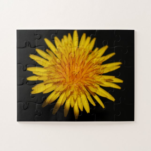 Quebra-cabeça Dandelion Flower 11x14 30pc jpcna (Horizontal)