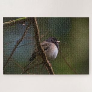 Quebra-cabeça Dark Eyed Junco