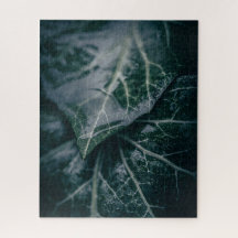 Dark Moody Ivy deixa foto da natureza