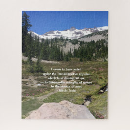 Quebra-cabeça das citações de Tesla 520 partes