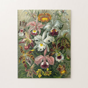 Quebra-cabeça das flores de Ernst Haeckel