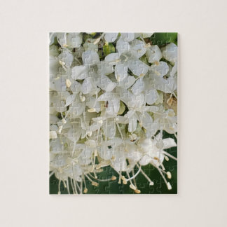 Quebra-cabeça das Flores Doces da Montanha