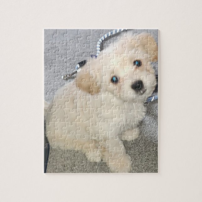 Quebra-cabeça Dash 01 (Vertical)