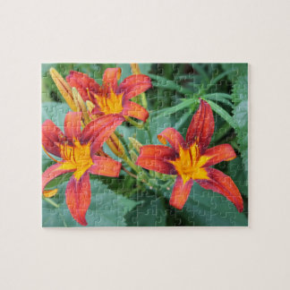 Quebra-cabeça Day Lily Delight