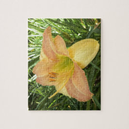 Quebra-cabeça DAYLILY "Blond Baby" — Cor de laranja verde amarel