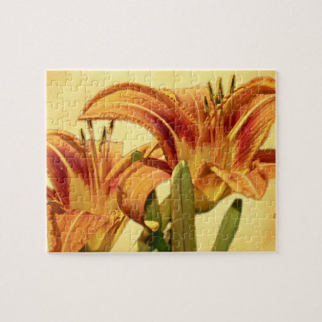 Quebra-cabeça Dayllírios - Hemerocallis (Horizontal)