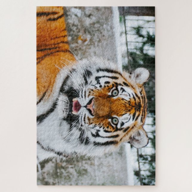 Quebra-cabeça de 1000 Pedaços Cute Tigre Jigsaw (Vertical)