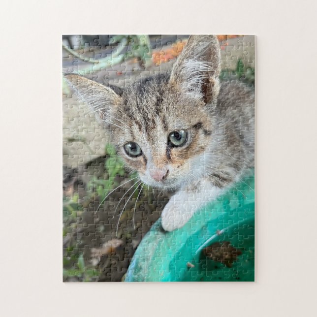 quebra-cabeça de 252 peças (Vertical)