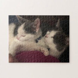 quebra-cabeça de 252 peças