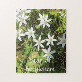 quebra-cabeça de 252 peças