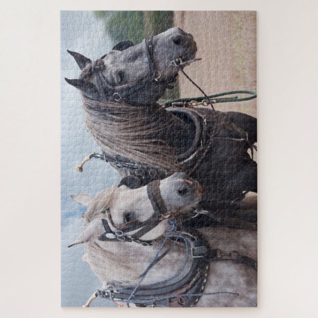 quebra-cabeça de arado de dois percheron (Vertical)