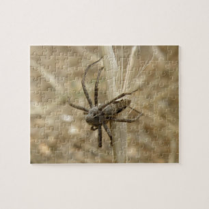 Quebra-cabeça de Aranha Crawly