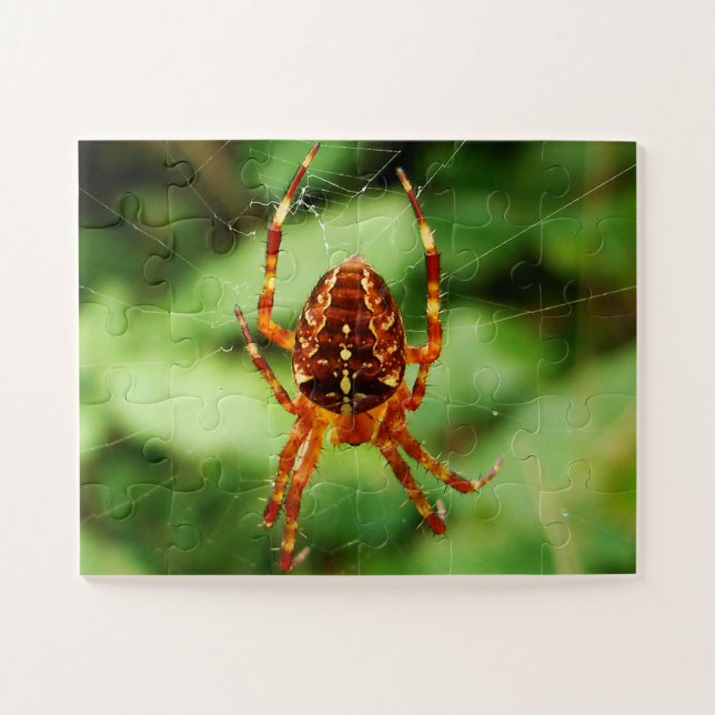 Quebra-cabeça de aranha para crianças (Horizontal)