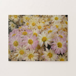 Quebra-cabeça de Asters Rosa