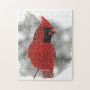 Quebra-cabeça de aves vermelhas cardinhas