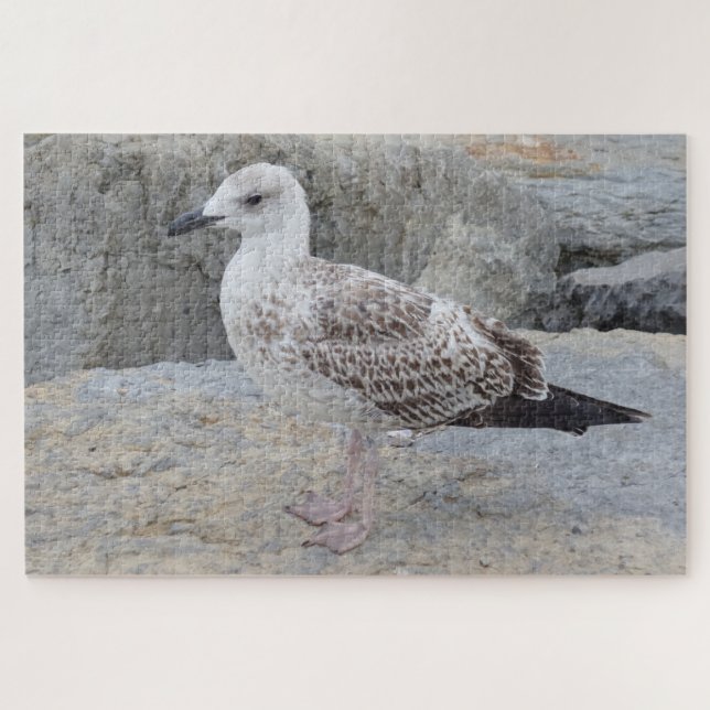 Quebra-cabeça de Bebê Gaivota (Horizontal)