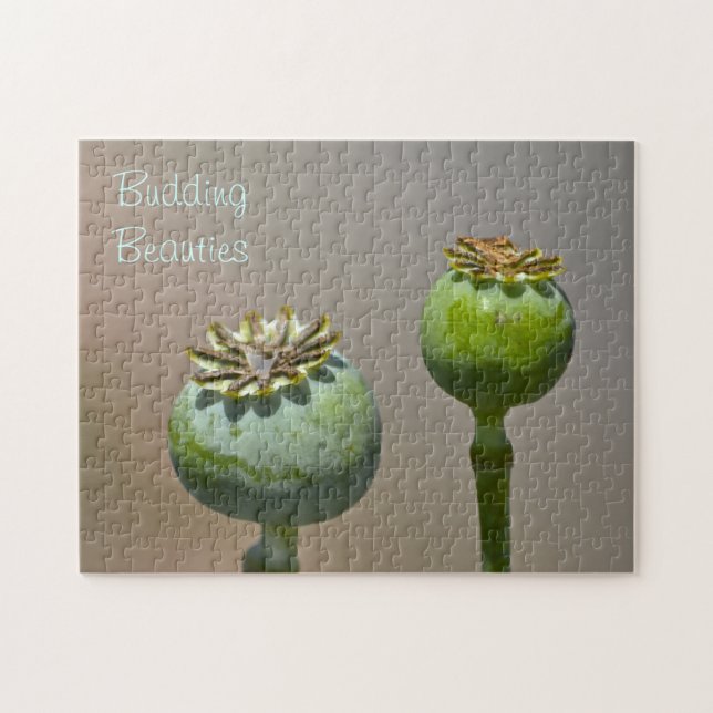 Quebra-cabeça de Belas Amantes (Horizontal)