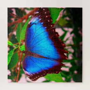 Quebra-cabeça de Borboleta Azul Morpho