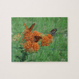 Quebra-cabeça de Borboletas Monarcas