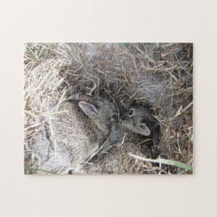 Quebra-cabeça de Bunnies Selvagens