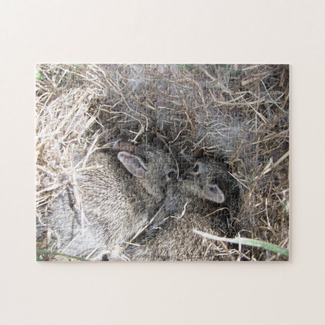 Quebra-cabeça de Bunnies Selvagens (Horizontal)