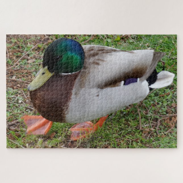 Quebra-cabeça de Cabeça Verde Duck Jigsera (Horizontal)