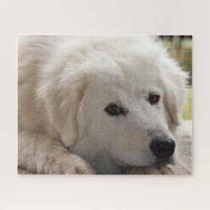 Quebra-cabeça de Cachorro de Guardião Branco
