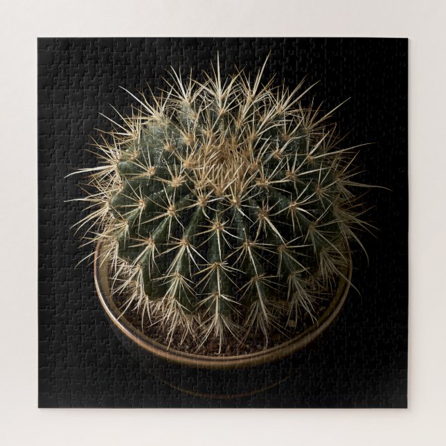 Quebra-cabeça de Cactus (Vertical)
