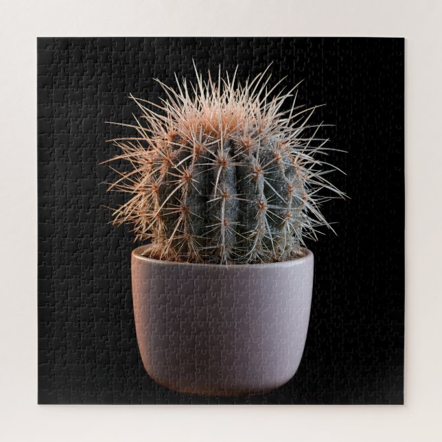 Quebra-cabeça de Cactus (Vertical)