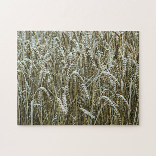 Quebra-cabeça de campo de trigo (Horizontal)