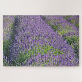 Quebra-cabeça de campo lavanda