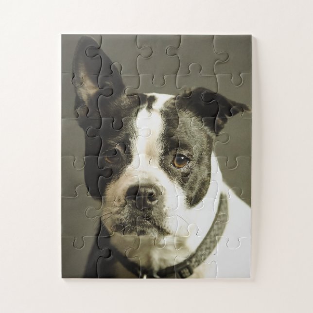 QUEBRA-CABEÇA DE CÃO, PRETO E CÃO BRANCO (Vertical)