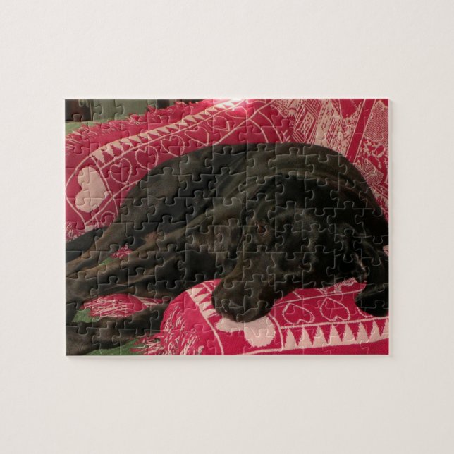 Quebra-cabeça de Cão Sonolento (Horizontal)