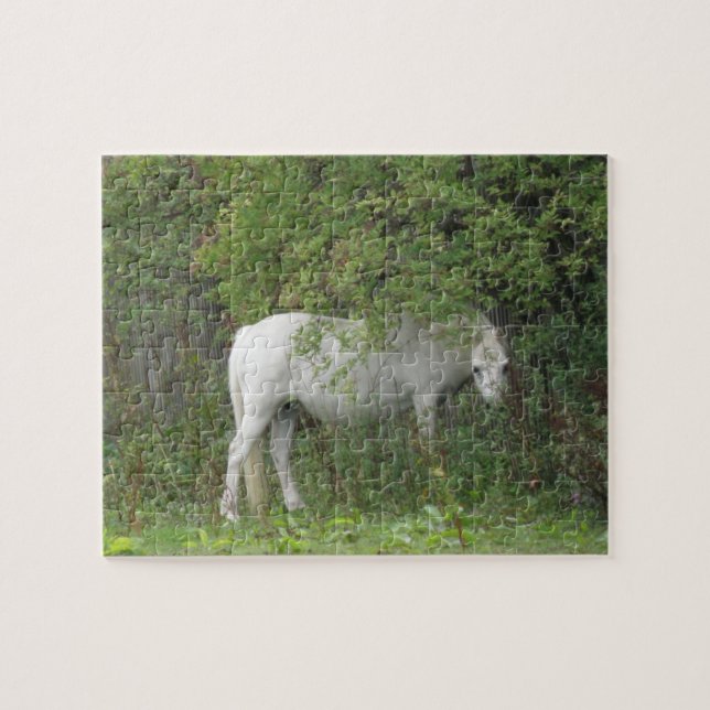 Quebra-cabeça de Cavalo Branco Tímido (Horizontal)