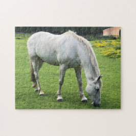 Quebra-cabeça de Cavalo - Um Cavalo Branco Pastand