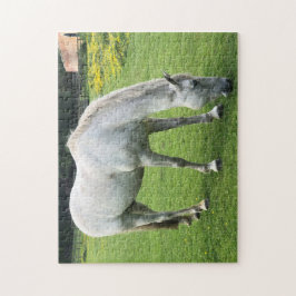 Quebra-cabeça de Cavalo - Um Cavalo Branco Pastand