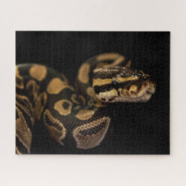 Quebra-cabeça de Cobra difícil