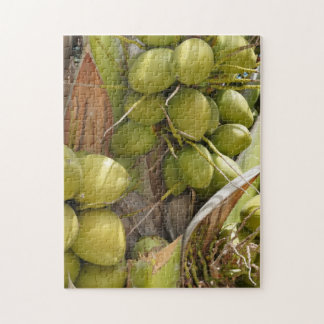 Quebra-cabeça de coco