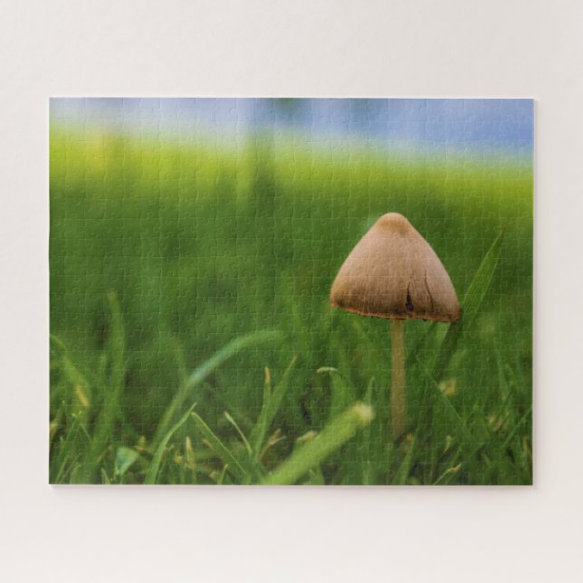 Quebra-cabeça de cogumelo muito desafiador (Horizontal)